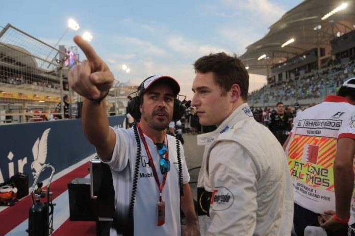 alonso-vandoorne