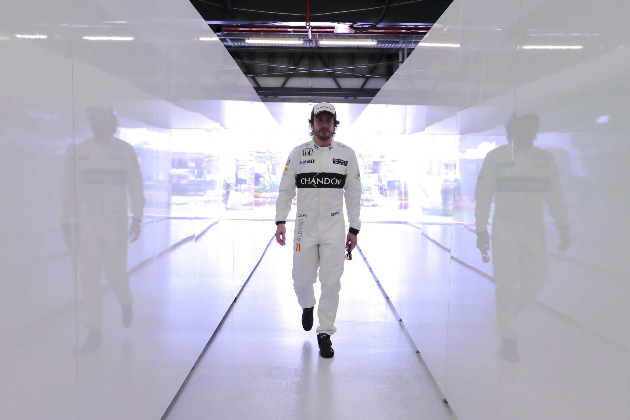 Fernando Alonso fernando alonso