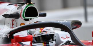 sebastian vettel halo