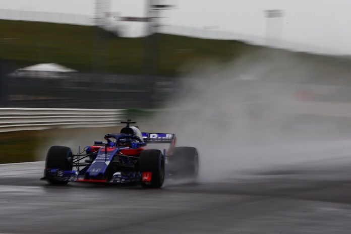 toro rosso toro rosso