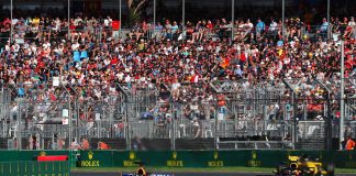 vernando alonso max verstappen