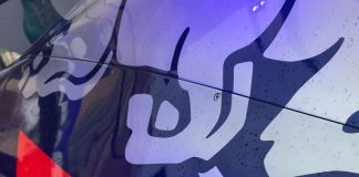 „Red Bull“ leido „Honda“ nepaisyti gresiančių baudų „Toro Rosso“ komandai toro rosso honda red bull